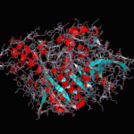 Cholinesterase