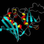 Staphylococcal Enterotoxin B molecule