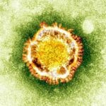 Coronavirus