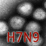 Emergence of Avian Influenza A(H7N9)