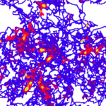 Bacteria Biofilm Formation