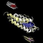 Drug Side Effects Protein Model