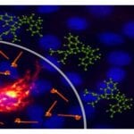 Broad-Spectrum Antiviral Probes