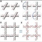 Novel DNA Nanostructures