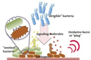 DTRA CB JSTO Autonomous Antimicrobial System