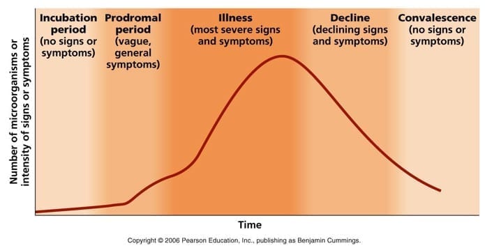 Convalescence Period Of Infection