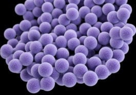 MRSA Infection Can Cause Sepsis and Death