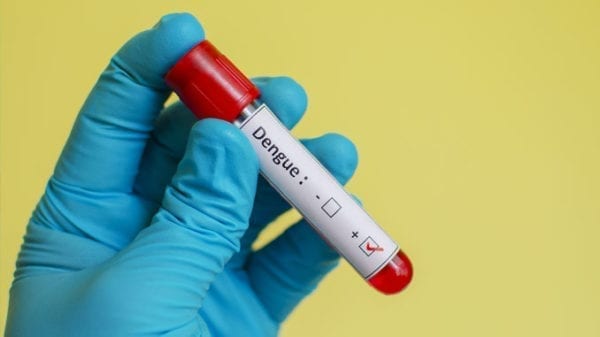 CDC Award To Roche For Dengue Detection cdc-award-to-roche-for-dengue-detection