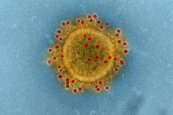 Report on Asymptomatic Spread of Coronavirus Based on Faulty Information