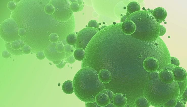 Nanoscale CBRN Defense