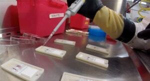 MIT Gehrke Labs Ebola Paper Strip Diagnostic