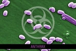 Anthrax Mishaps in DoD Laboratories