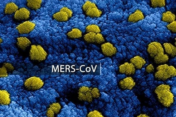 Remdesivir Prevents MERS Coronavirus Disease in Monkeys