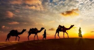 MERS Coronavirus in Camels