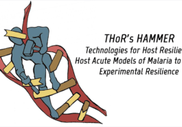 THOR's HAMMER - Technologies for Host Resilience