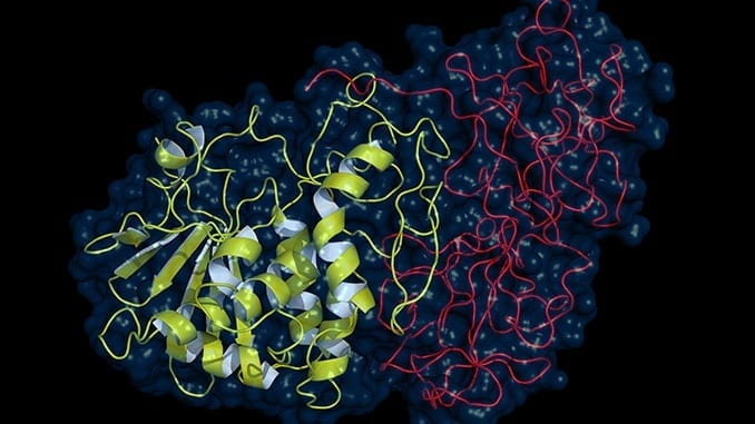 Passive Immunization with mAbs Against Aerosolized Ricin Toxin – Global ...