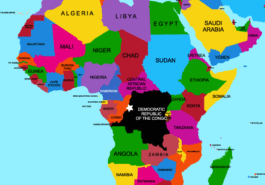 Ebola Outbreak in Bikoro, Democratic Republic of Congo