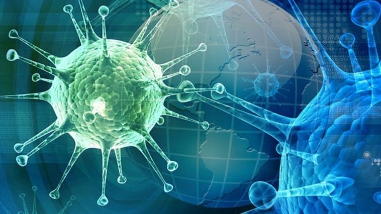 Global Influenza Strategy - World Health Organization