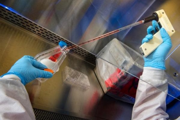 Free On-Demand Course: Detection, Prevention, Response and Control of Emerging Respiratory Viruses