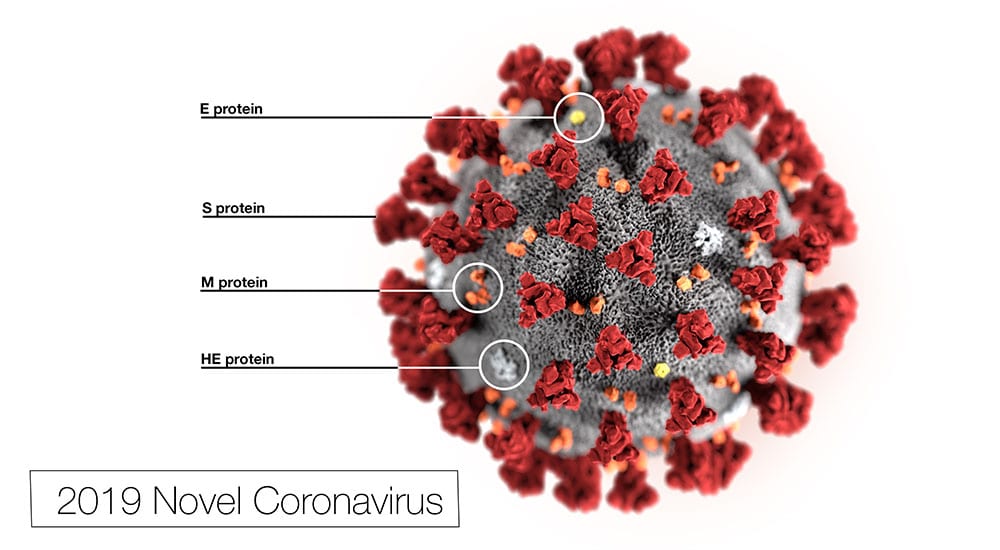 cdc-image-novel-coronavirus-2019-ncov.jpg