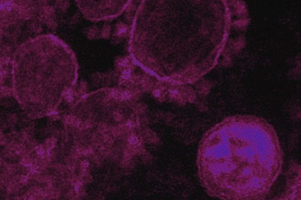 WHO Asks for $675 Million in Q1 to Stop Coronavirus Epidemic