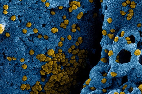 CMS Issues Guidance for Healthcare Facility Coronavirus Threat Preparedness