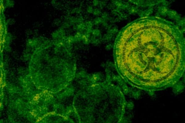 FDA Issues Emergency Use Authorization for the First 2019 Novel Coronavirus Diagnostic