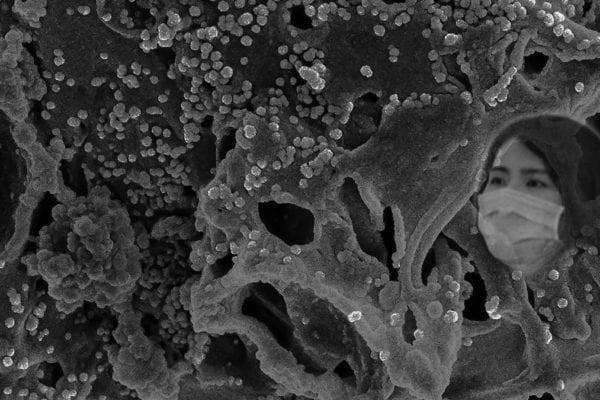 Should We Be Worried About the New Coronavirus?