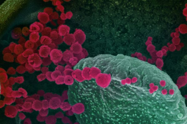 Pelosi Pans Funding for Coronavirus Response: “Ongoing Failure to Understand Urgent Public Health Needs”