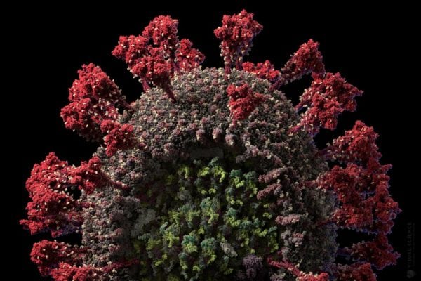 A Scientifically Accurate Model of the SARS-Cov-2 Virus
