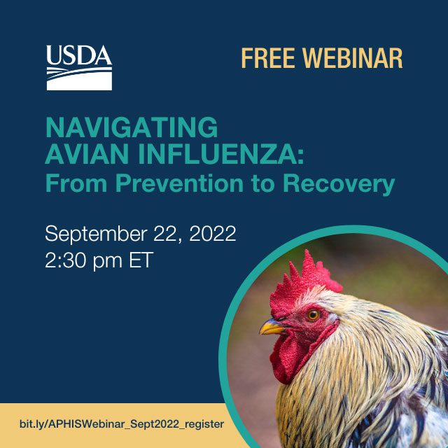 Navigating Avian Influenza From Prevention to Recovery