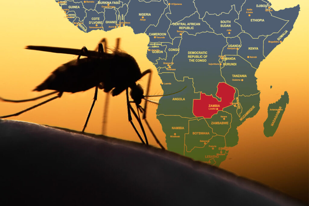 A close-up of a mosquito feeding on human skin, overlaid with a map of Africa showing country names and borders. Zambia is highlighted to indicate the location of new mosquito-borne virus detections.