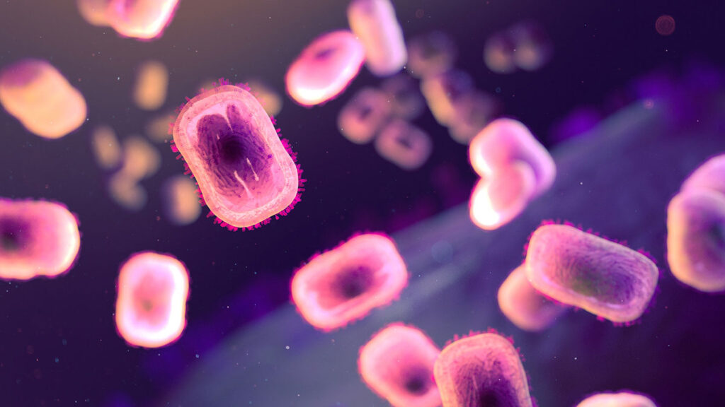Electron micrograph showing extracellular mpox virus particles with distinctive brick-shaped structure. The image highlights surface membranes and internal nucleocapsid outlines,