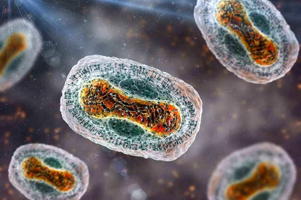 Highly detailed digital illustration showing multiple monkeypox virus particles, each shaped like an oval with a textured outer membrane and a dense, complex internal core. The particles appear to be floating in a cellular or fluid environment. Structural features such as the surface spikes and internal compartments are clearly depicted to convey the virus’s intricate morphology.