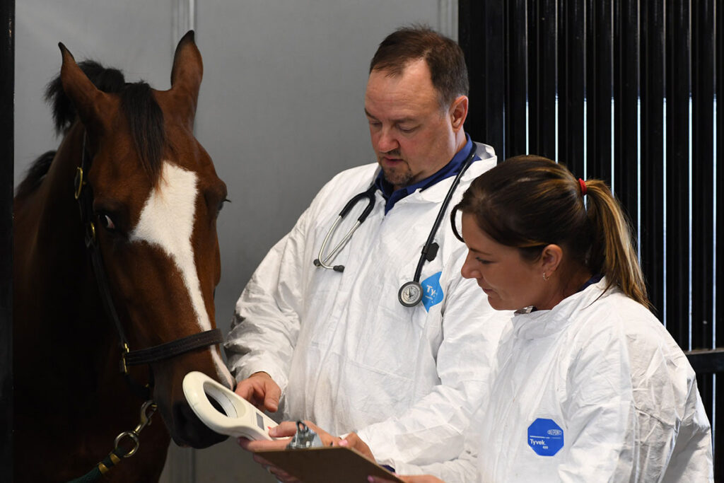 Two veterinarians wearing protective white coats and stethoscopes conduct a health inspection on a horse. One veterinarian consults a clipboard or document while examining the animal, which wears a halter and is held steady. The inspection takes place indoors with metal stall fencing visible in the background. Both professionals display identification badges indicating their official veterinary capacity.