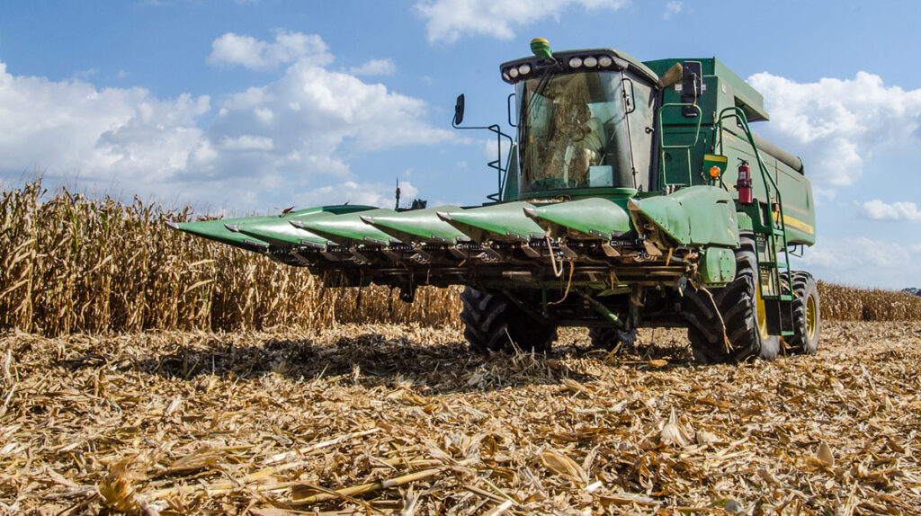 RAND Report Warns of Escalating Threats to U.S. Food and Biosecurity A large combine harvester operates in an extensive corn field during harvest season. The machine features a green cab and body with extended cutting headers at the front. Harvested corn stalks are visible on the ground behind the harvester, and tall standing corn plants surround the equipment. The field extends to the horizon under a partly cloudy sky, typical of Midwest agricultural operations at scale.