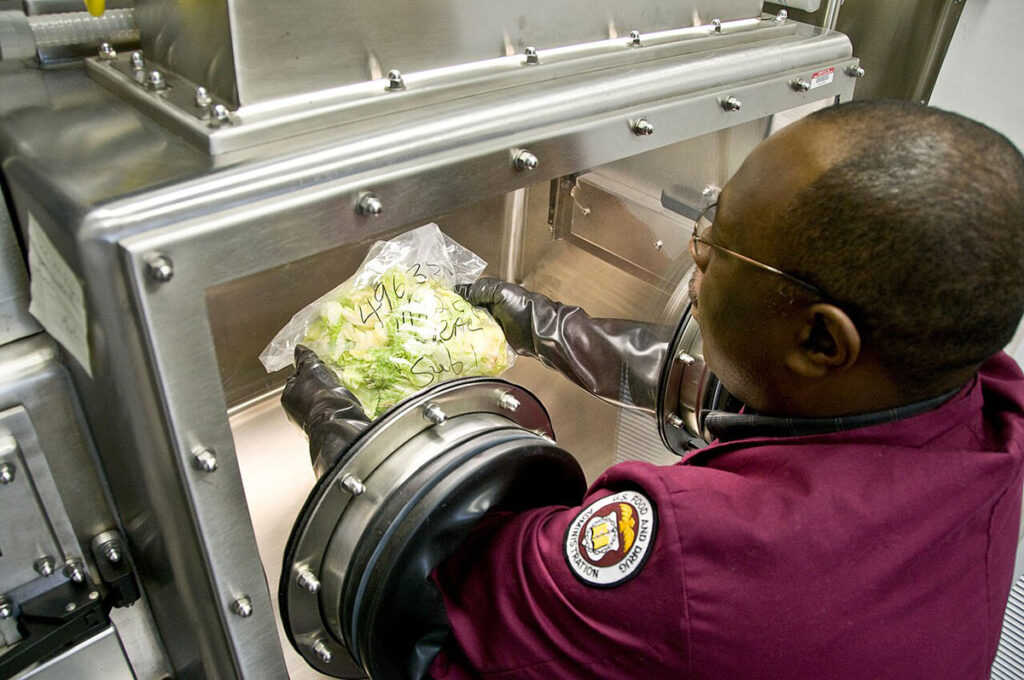 An FDA scientist wearing protective equipment works at a sterile sample preparation glove box. The scientist manipulates a lettuce sample inside the sealed containment chamber using built-in gloves. The glove box is a large stainless steel apparatus with integrated hand access ports and viewing area. Laboratory equipment and surfaces are visible in the background of the facility.